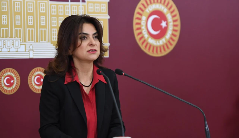 Gülistan Kılıç Koçyiğit: ‘Kürt halkının anadili seçmeli dil olamaz’