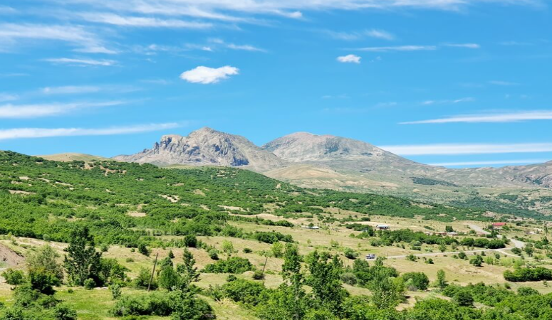 Yeni yasa yürürlükte: Doğal alanlar ‘yenilenebilir enerji’ adı altında şirketlerde