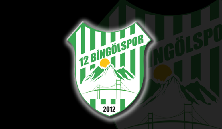 12 Bingölspor'un yeni dönem