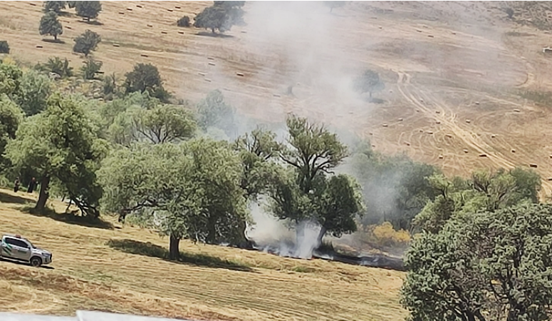 Bingöl’de piknik ateşi yangına neden oldu