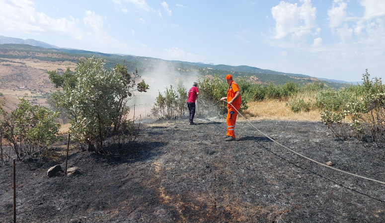 Bingöl’de üç ayrı bölgede orman yangını