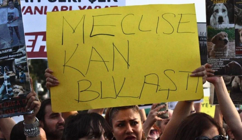 ‘Meclis’e kan bulaştı’: Katliam yasasında beş madde kabul edildi