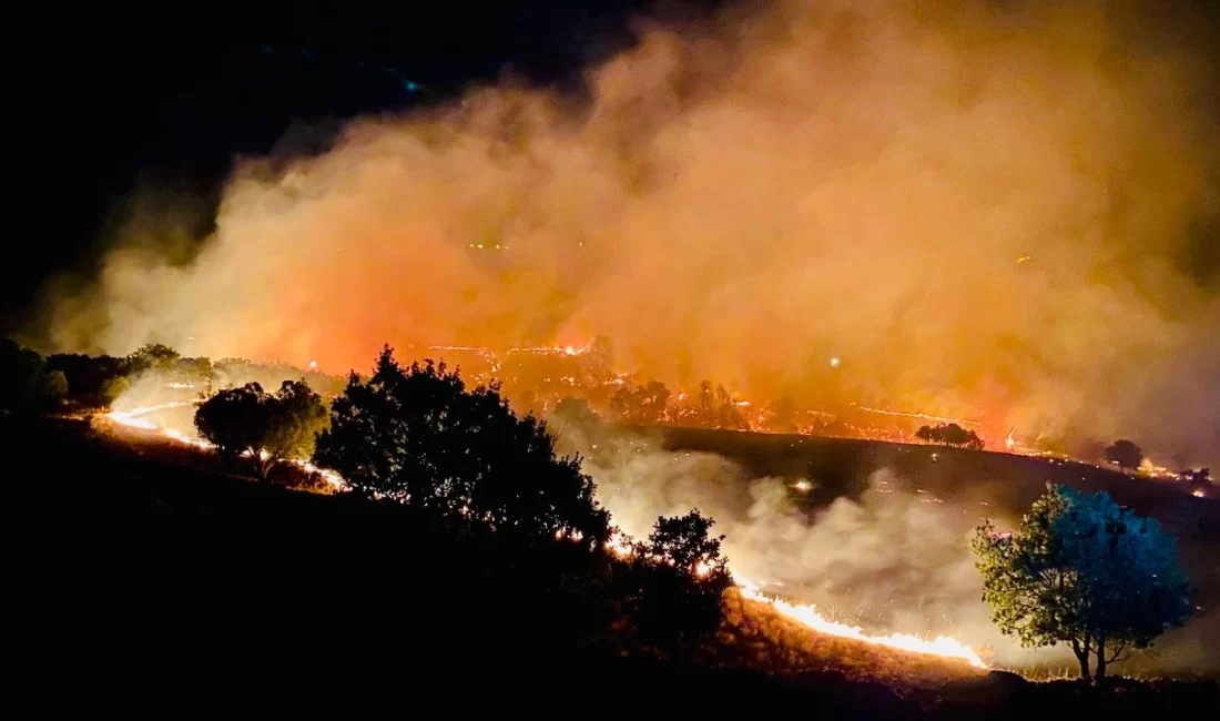 Dersim merkeze bağlı Kocakoç