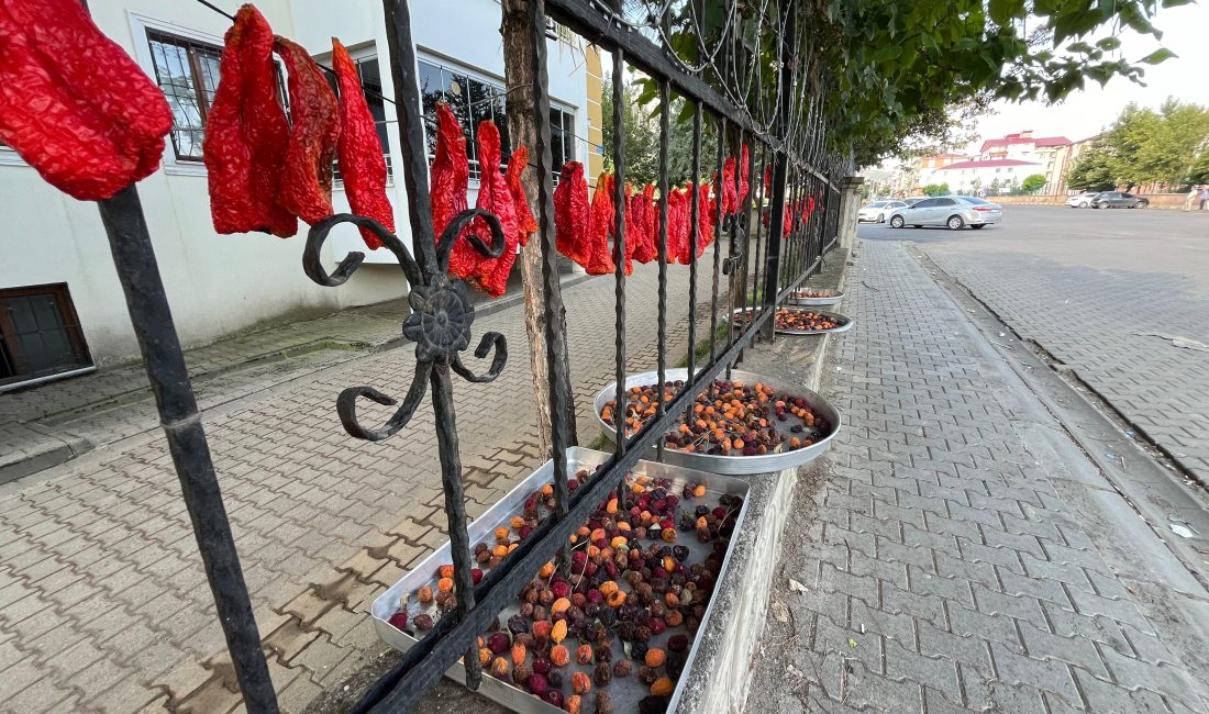 Bingöl'de kurutmalık sebzeler balkonları,