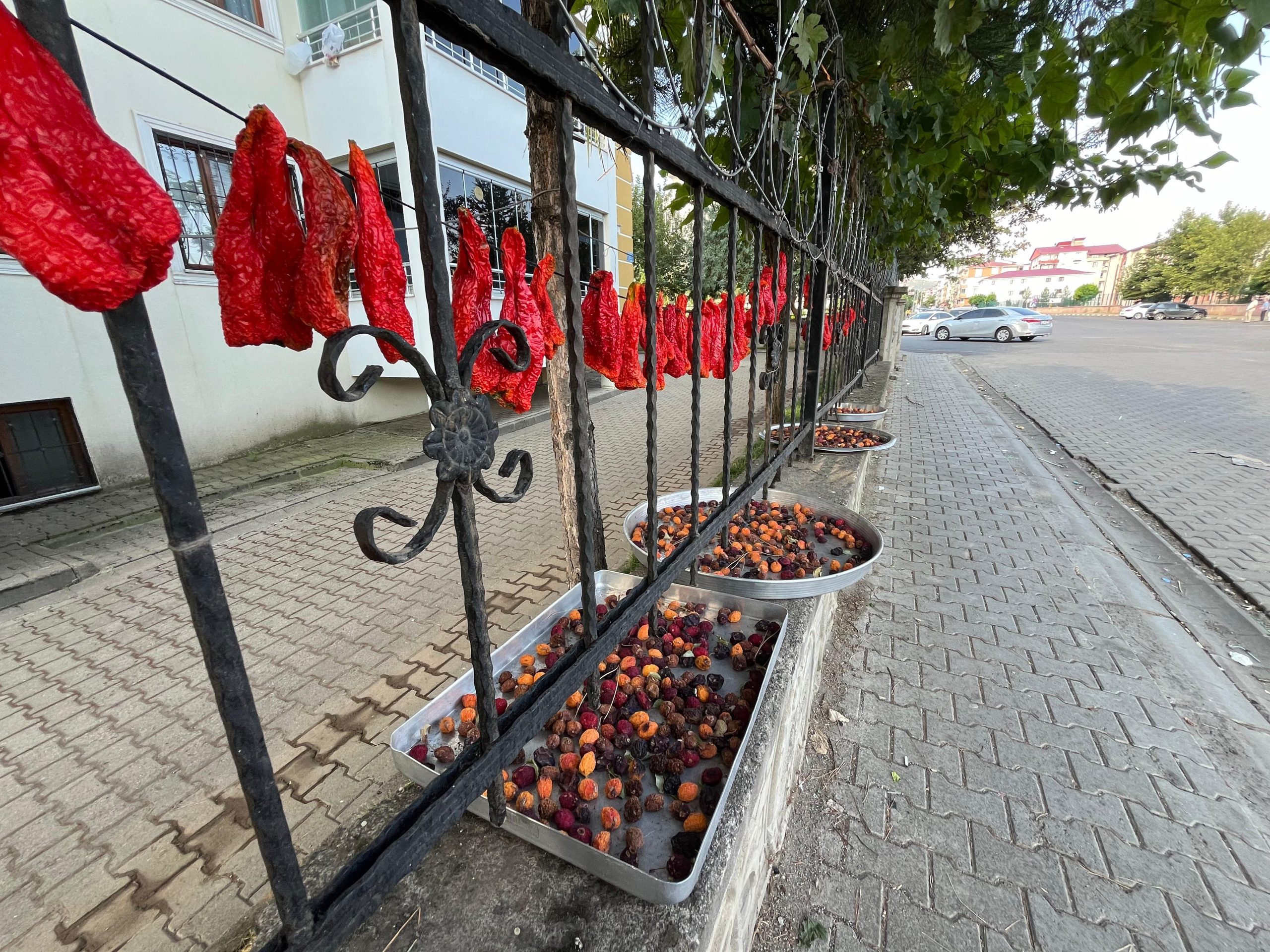 Bingöl’de ‘kurutmalık’ sezonu başladı