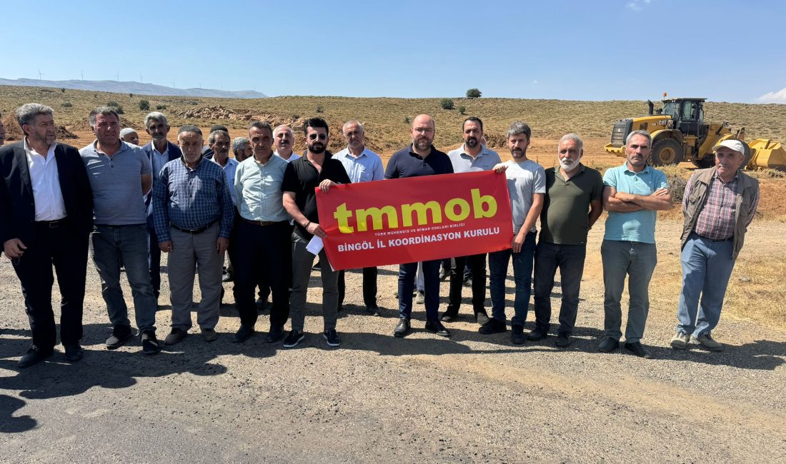 TMMOB Bingöl Şubesi, Bingöl'de