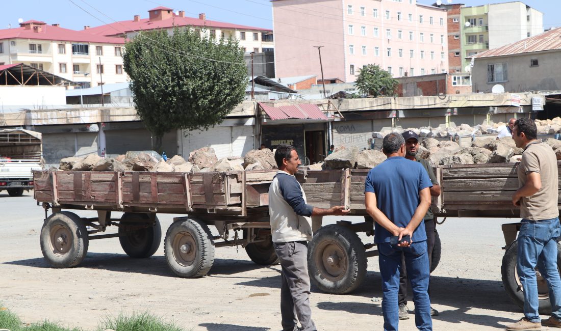 Ağrı Dağı eteklerinde topladıkları