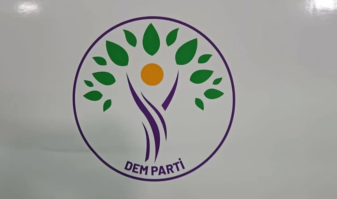 DEM Parti, 1.Merkezi Örgütlenme