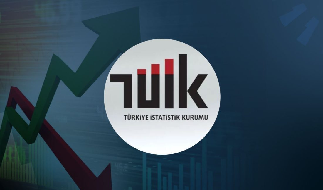 Türkiye İstatistik Kurumu (TÜİK)