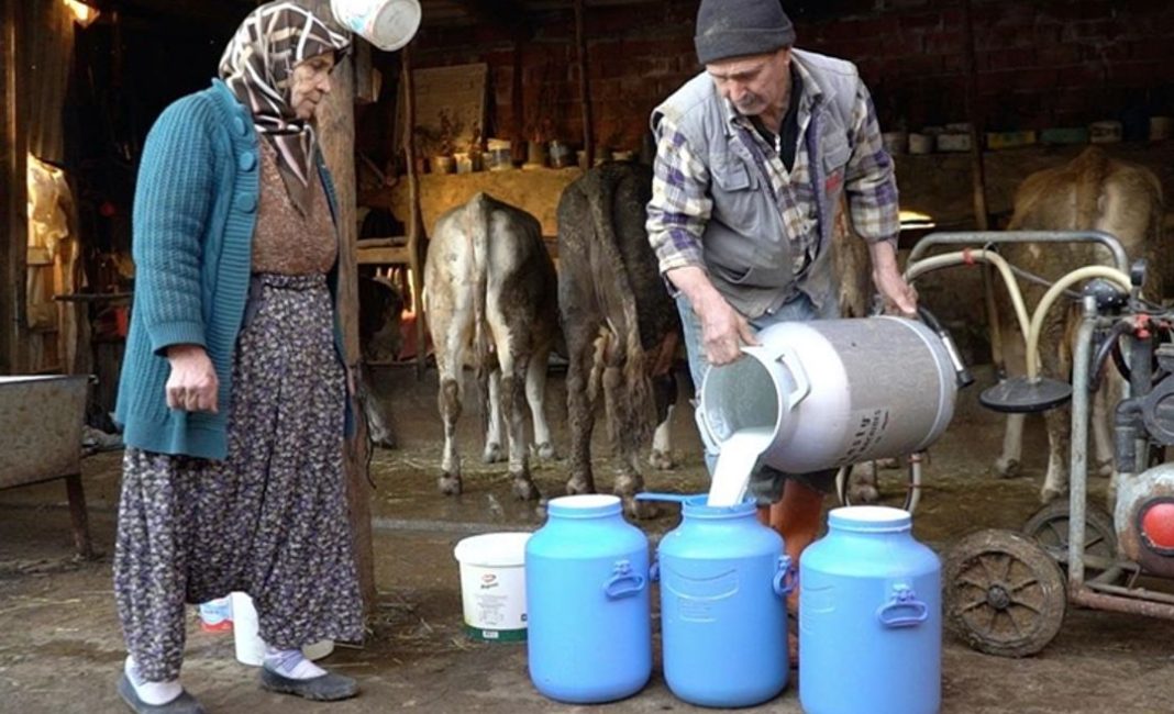 Karlıova'da süt üreticileri özel