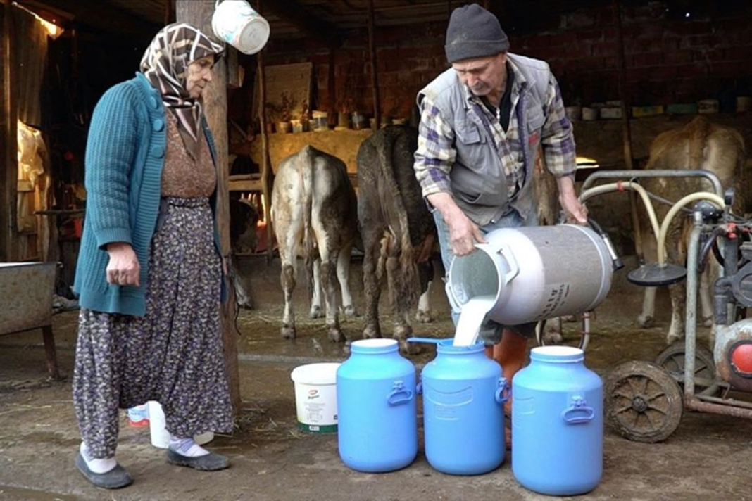 Karlıova’da Süt Üreticilerinden Boykot: Zam Beklerken Fiyatlar Düştü