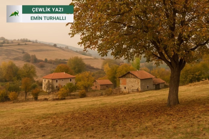 Bedava Hayattan, Kıtalararası Ticarete