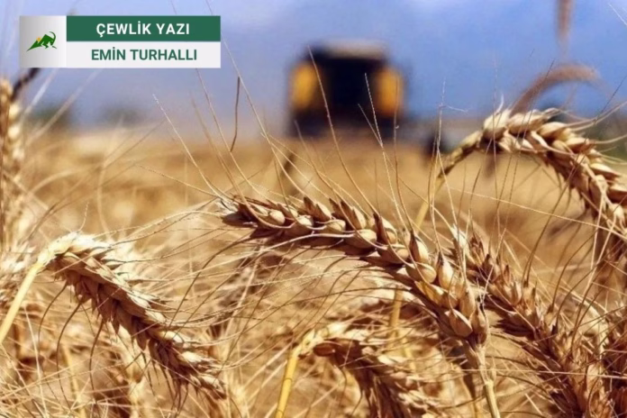 Buğdayın Gölgesinde Kuruyan Doğa ve Kırılan Ekolojik Zincir
