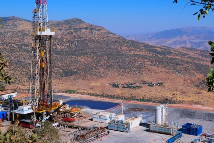 Şırnak’ta Ekolojik Talan Sürüyor: Cudi, Gabar ve Besta’da Doğa Tahribatı Derinleşiyor