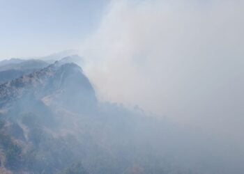 Lice'de Askerler Esrar Yaktı, Ormanlık Alanda Yangın Çıktı