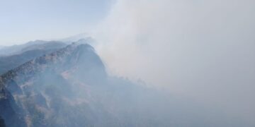 Lice'de Askerler Esrar Yaktı, Ormanlık Alanda Yangın Çıktı