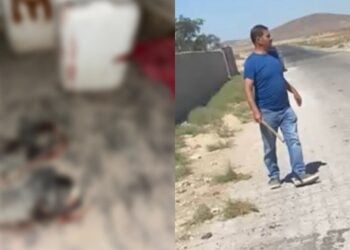 Siverek’ten Niğde’ye Giden Mevsimlik İşçilere Irkçı Saldırı