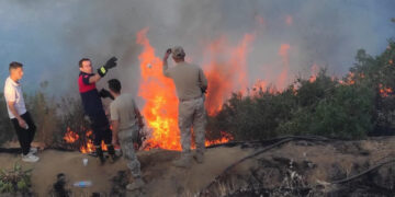 Bingöl-Diyarbakır Sınırında Orman Yangını Kontrol Altına Alındı