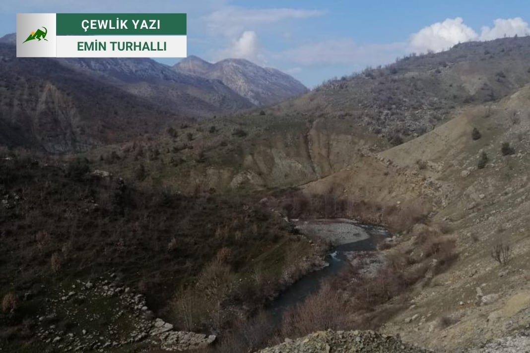 Lice Yangını Bize Ne Söylüyor, Bize Ne Hatırlatıyor?