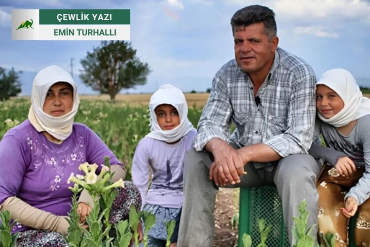 Emeksiz, Parasız, Mülksüz: Özgür ve Doğayla Uyumlu Bir Yaşam Mümkün