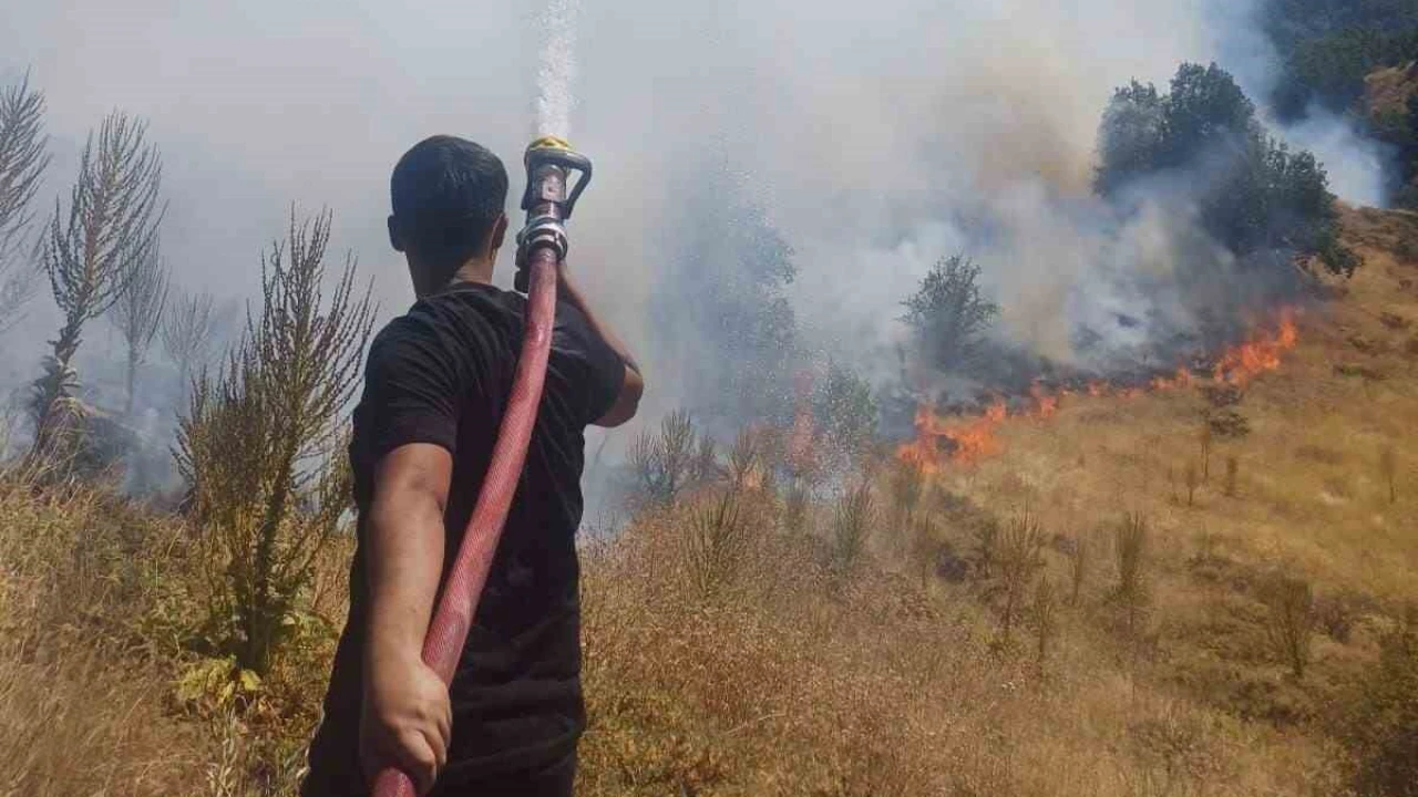 Bingöl Kiğı’da Çıkan Yangın Söndürüldü