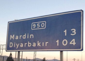 Bingöl’de Kaybolan Özel Gereksinimli Gamze Kaya Mardin’de Bulundu