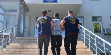 Bingöl'de Dolandırıcılık Suçundan Kesinleşmiş Cezası Bulunan Hükümlü Yakalandı