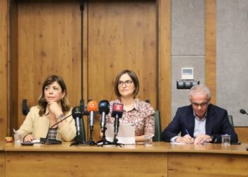 DEM Parti Dil Komisyonu'ndan Çağrı: Kürtçe Resmi Dil Olarak Kabul Edilsin
