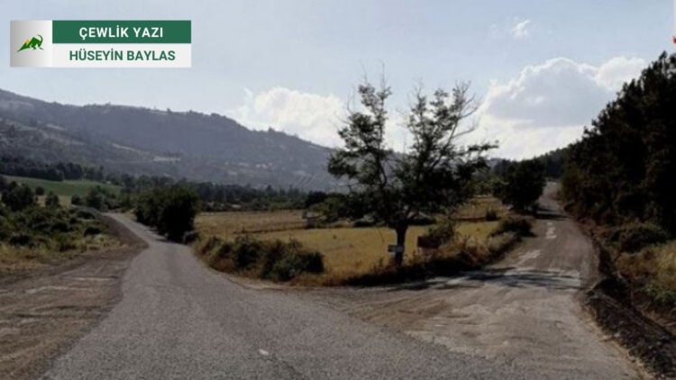 Barışa ve Eşitliğe Alevi Köylerine Giden Yollarla Ulaşılamaz