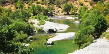 Sarım Havzası'nda Ekokırım Tehdidi: 'Bölgede Büyük Felaketler Yaşanacak'