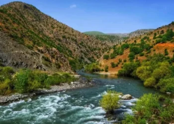 Dört Gün Sürecek Ekoloji Mücadelesi Bingöl'den Başlıyor: 'Sarım'a ve Muş'a Ses, Doğaya Nefes Olun'