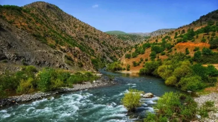 Dört Gün Sürecek Ekoloji Mücadelesi Bingöl'den Başlıyor: 'Sarım'a ve Muş'a Ses, Doğaya Nefes Olun'
