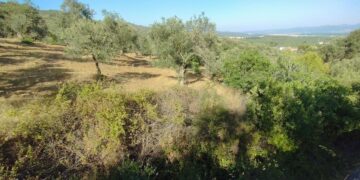 Tarım ve Orman Bakanlığı’ndan Devrim Niteliğinde Karar: İşlenmeyen 14 Bin Dekar Tarım Arazisi Kiralık!