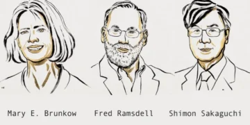 2025 Nobel Tıp Ödülü Sahiplerini Buldu