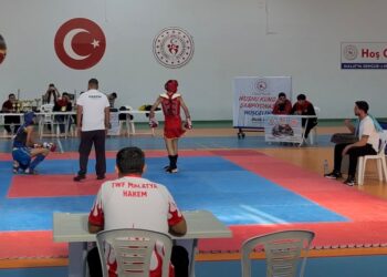 Wushu Kung-fu Şampiyonasında Bingöl Rüzgarı: İki Altın Madalya