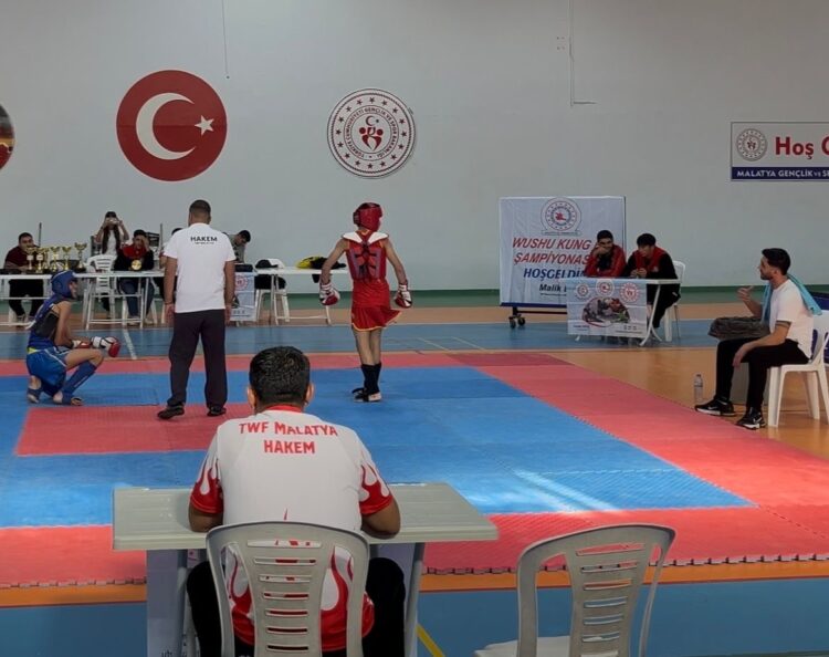 Wushu Kung-fu Şampiyonasında Bingöl Rüzgarı: İki Altın Madalya