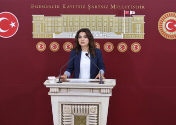 DEM Parti, Meclis'e Gelecek Olan Suriye Tezkeresi Hakkında Ne Diyor?