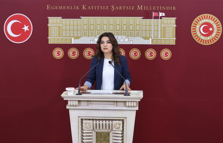 DEM Parti, Meclis'e Gelecek Olan Suriye Tezkeresi Hakkında Ne Diyor?