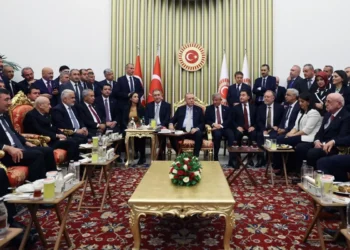 DEM Parti Eş Genel Başkanı Bakırhan, Erdoğan'la Çekilen Fotoğrafları Neden "Demokrasi Eksikliğinin Giderilmesi" Olarak Görüyor?