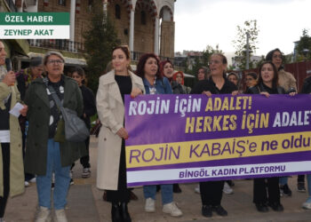 Bingöl'de Kadın Rojin Kabaiş İçin Adalet İstedi