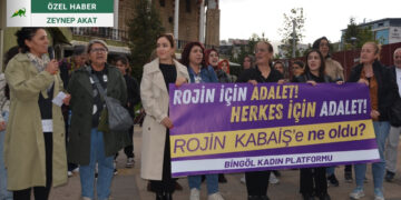 Bingöl'de Kadın Rojin Kabaiş İçin Adalet İstedi