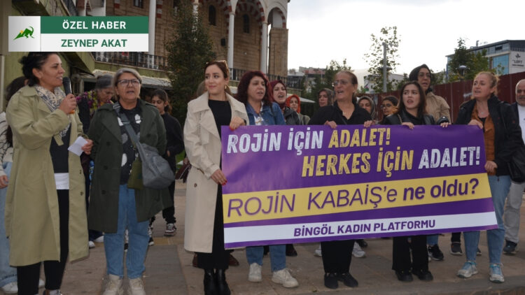 Bingöl'de Kadın Rojin Kabaiş İçin Adalet İstedi