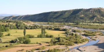 Sarım’dan Öğrenecek Çok Şeyimiz Var...