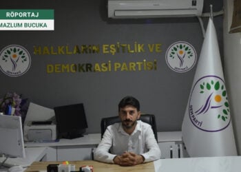 Ormangören: Türkiye'nin çözüm süreci dışında tutunacak bir dalı, bir hikayesi yok