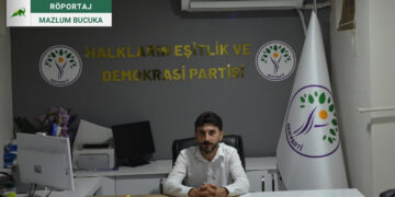 Ormangören: Türkiye'nin çözüm süreci dışında tutunacak bir dalı, bir hikayesi yok