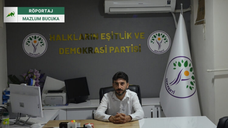 Ormangören: Türkiye'nin çözüm süreci dışında tutunacak bir dalı, bir hikayesi yok