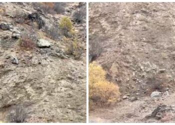 Bingöl'de Hesar Dağı'nda Dağ Keçileri Görüntülendi: Köylüler Nöbet Tutuyor