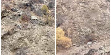 Bingöl'de Hesar Dağı'nda Dağ Keçileri Görüntülendi: Köylüler Nöbet Tutuyor