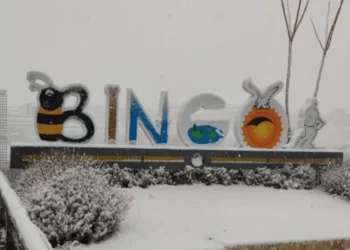 Meteoroloji Duyurdu: Bingöl'e Kar Geliyor