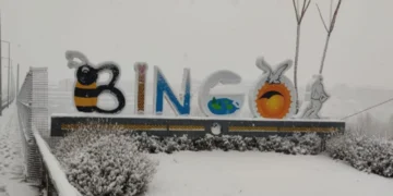 Meteoroloji Duyurdu: Bingöl'e Kar Geliyor